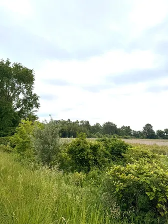 $200,000 | 0 Carpenter Road, Three Oaks, MI 49128
