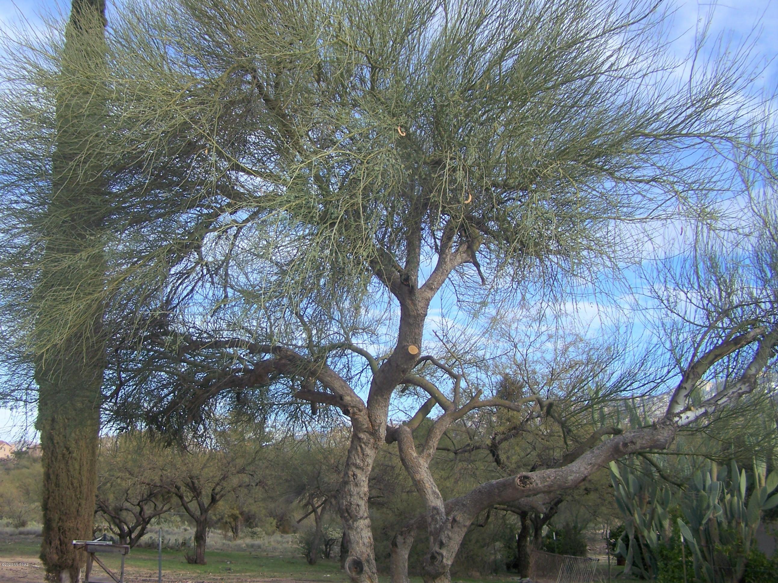 3440 East Edwin Road Tucson, AZ 85739 - Photo 27 of 41 Gallery Image 27