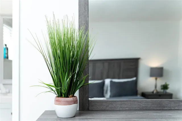a potted plant sitting on a floor with a potted plant