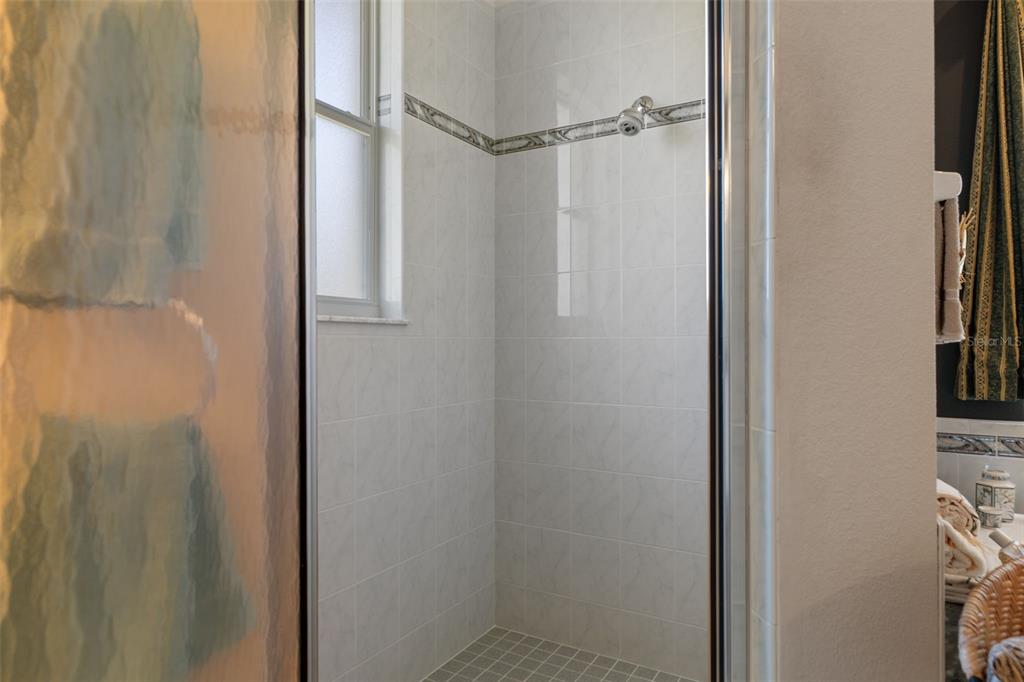 10081 Georgetown Court Weeki Wachee, FL 34613 - Photo 32 of 76 a bathroom with a glass shower door