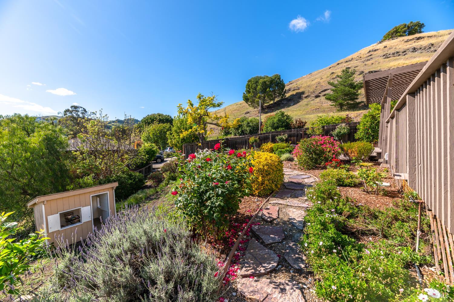 4 Galway Lane San Rafael, CA 94903 - Photo 30 of 45 a view of a garden with plants
