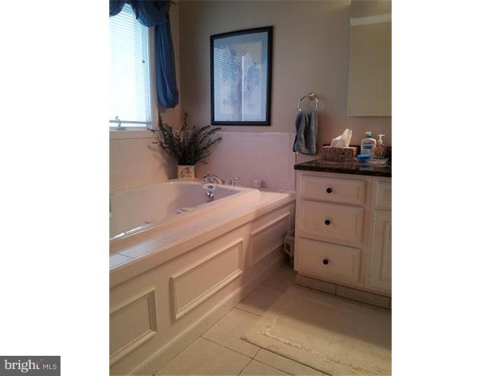 424 Reitnour Road Spring City, PA 19475 - Photo 13 of 24 Master Bathroom