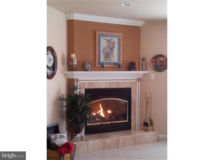 424 Reitnour Road Spring City, PA 19475 - Photo 6 of 24 Family Room
