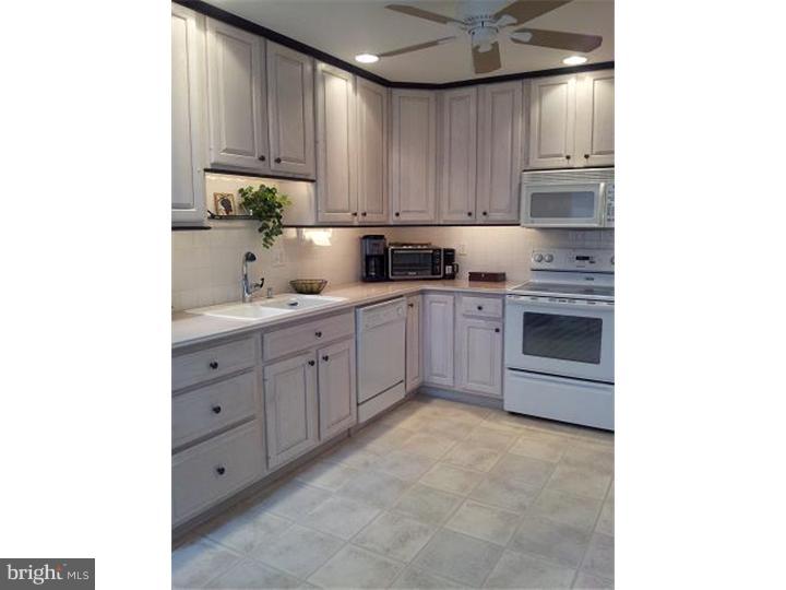 424 Reitnour Road Spring City, PA 19475 - Photo 8 of 24 Kitchen