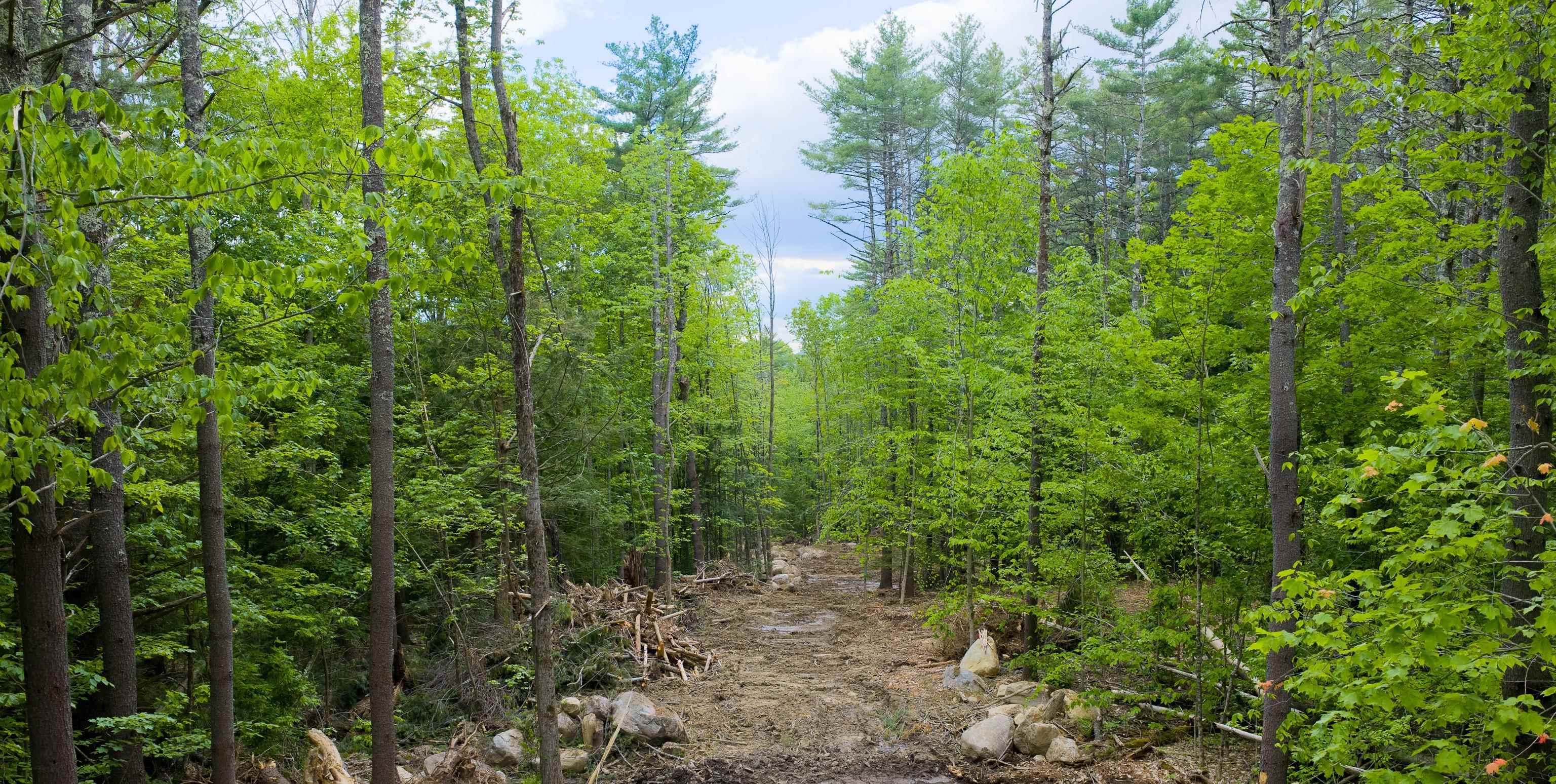 Lot 2 Winona Road Meredith, NH 03253 - Photo 8 of 14
