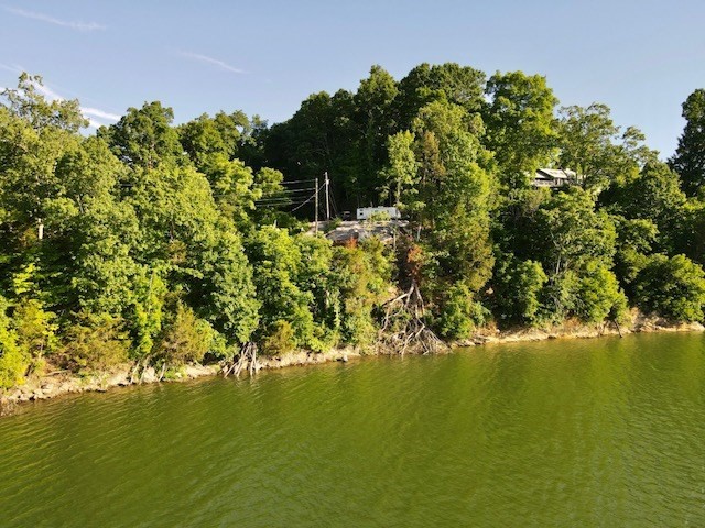 293 Whipperwill Lane Rutledge, TN 37861 - Photo 13 of 20