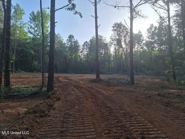 $48,000 | 1078 Dry Creek Road, Magee, MS 39111