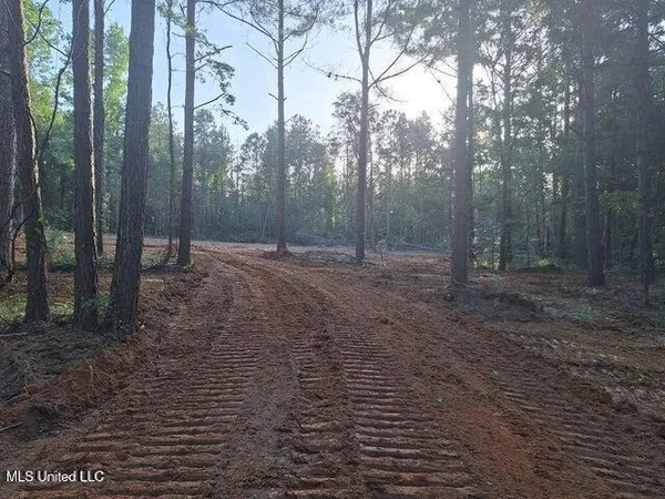 $48,000 | 1078 Dry Creek Road, Magee, MS 39111