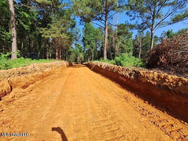 1078 Dry Creek Road Magee, MS 39111 - Photo 4 of 11 10784