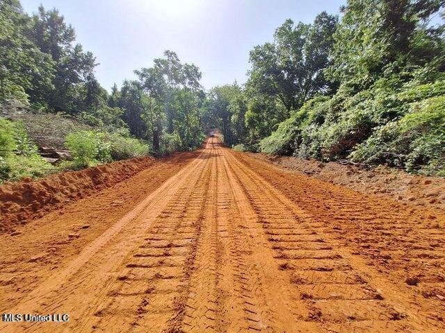 1078 Dry Creek Road Magee, MS 39111 - Photo 5 of 11 10785