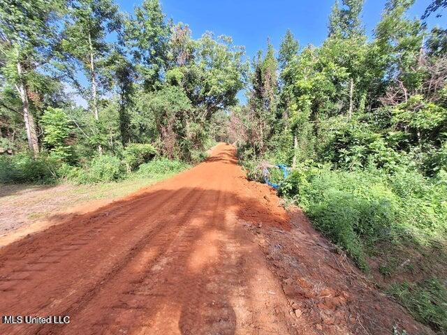1078 Dry Creek Road Magee, MS 39111 - Photo 6 of 11 10786