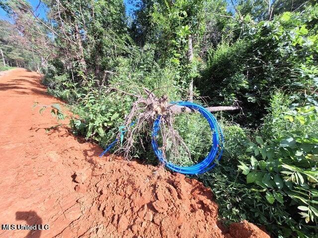 1078 Dry Creek Road Magee, MS 39111 - Photo 7 of 11 10787