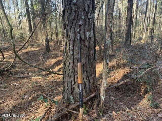 1078 Dry Creek Road Magee, MS 39111 - Photo 9 of 11 10789