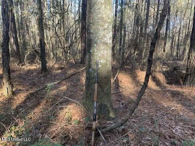 $48,000 | 1078 Dry Creek Road, Magee, MS 39111