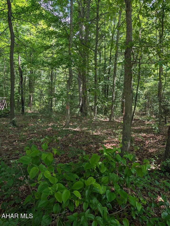 0 Mosquito Hollow Road Six Mile Run, PA 16679 - Photo 29 of 29