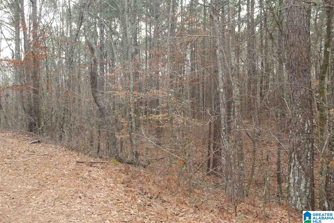 400 Eagle Lane Riverside, AL 35135 - Photo 2 of 8