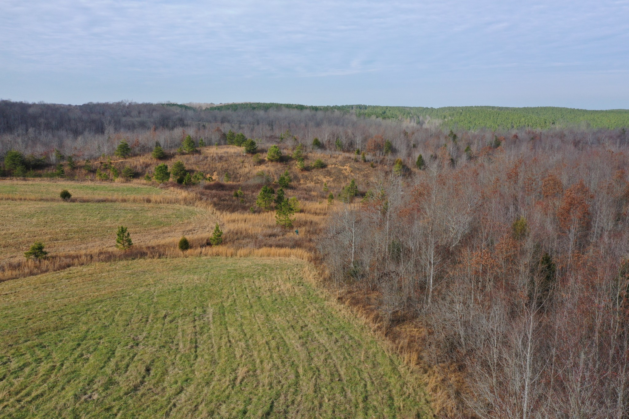 0 Simmons Branch Road Centerville, TN 37033 - Photo 2 of 34 Gallery Image 2