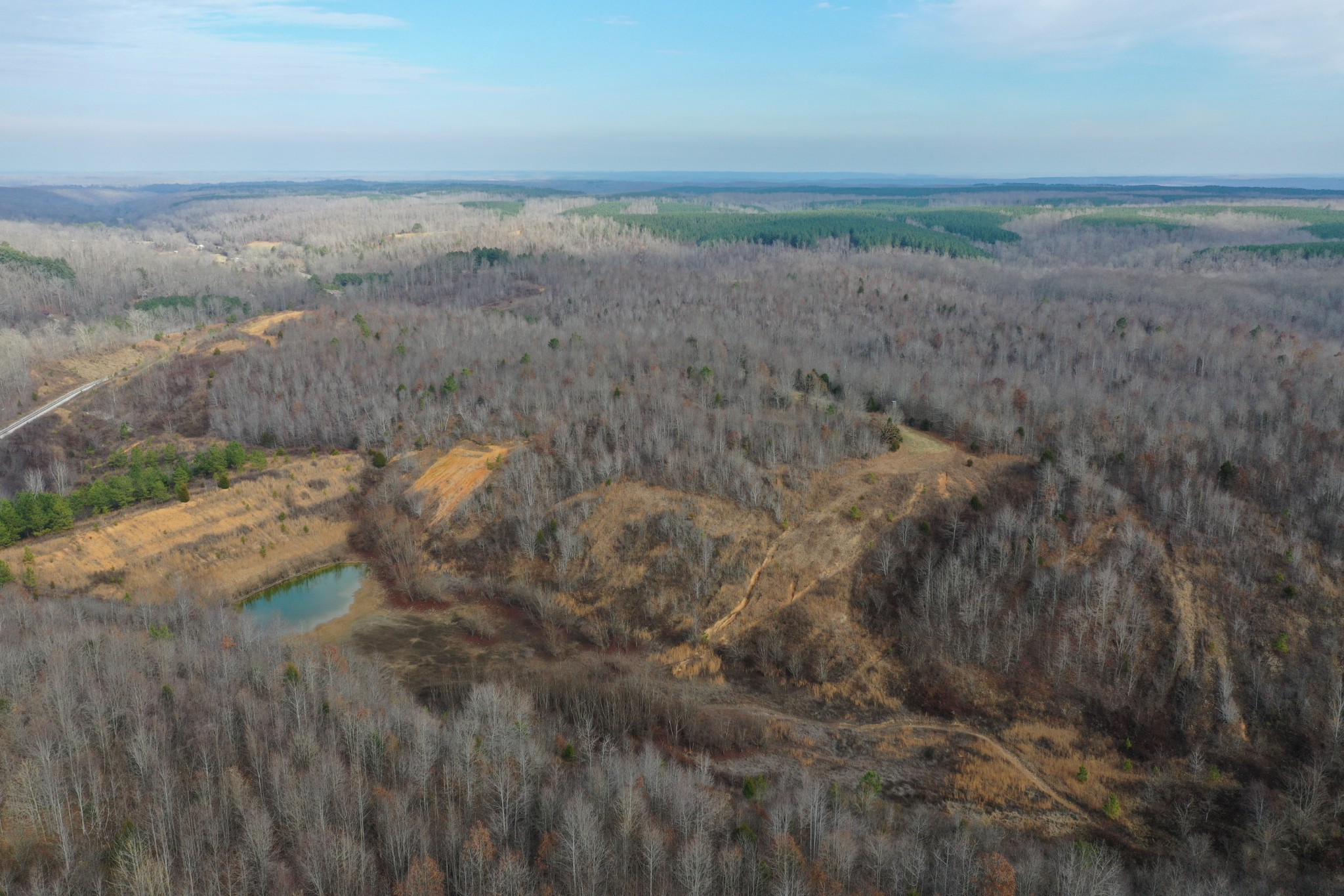0 Simmons Branch Road Centerville, TN 37033 - Photo 16 of 34 Gallery Image 16