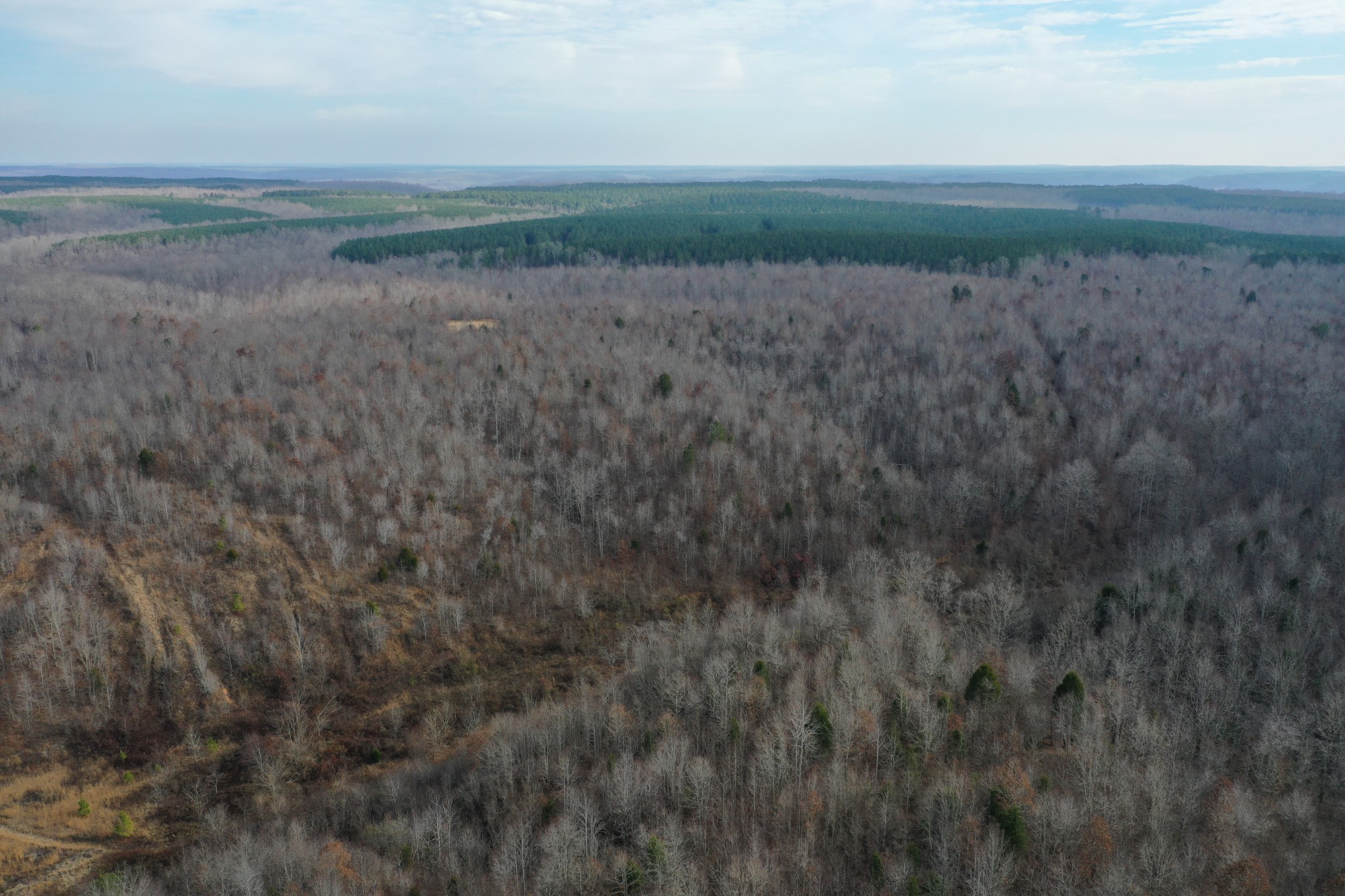 0 Simmons Branch Road Centerville, TN 37033 - Photo 17 of 34 Gallery Image 17