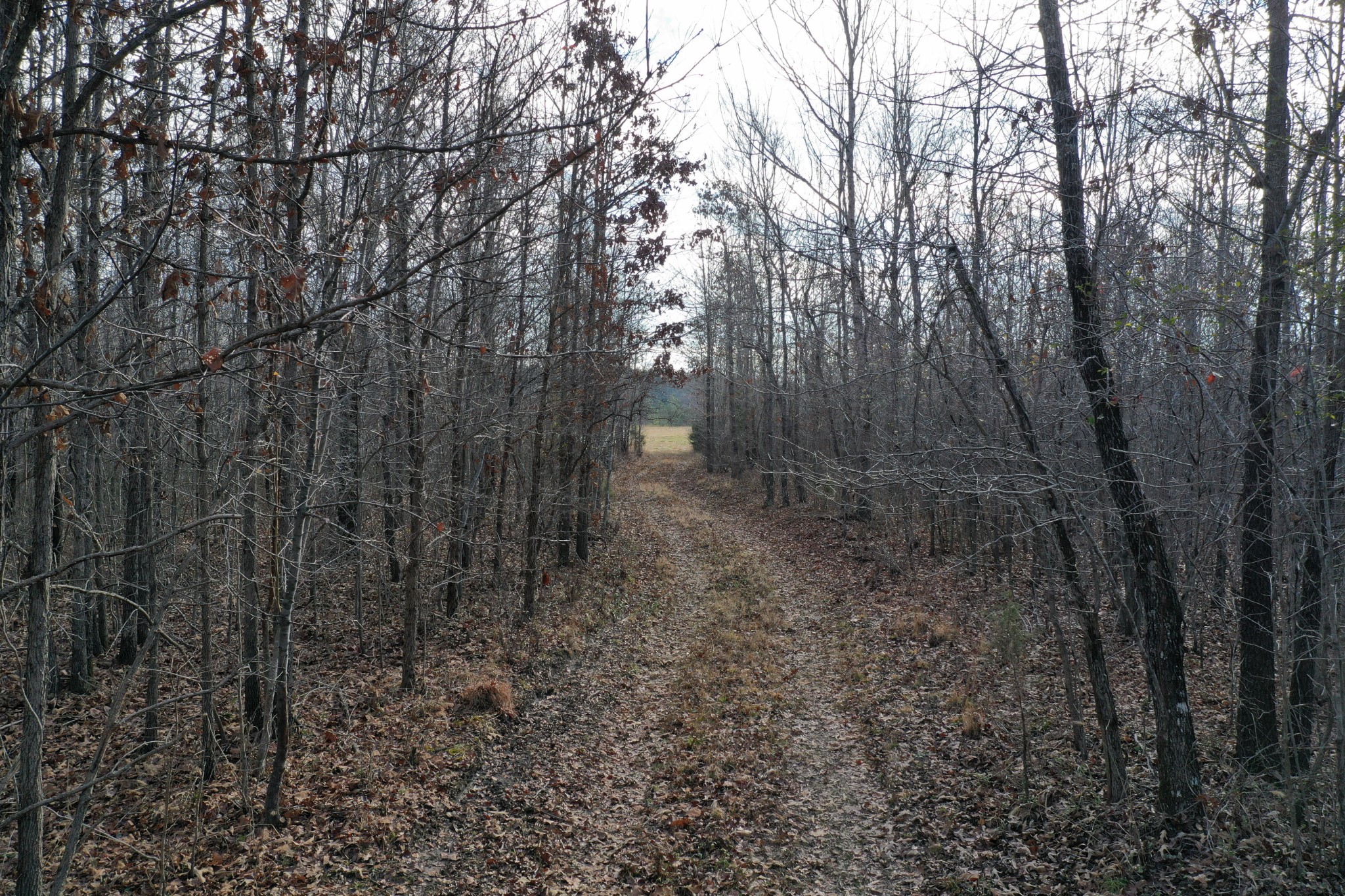 0 Simmons Branch Road Centerville, TN 37033 - Photo 19 of 34 Gallery Image 19