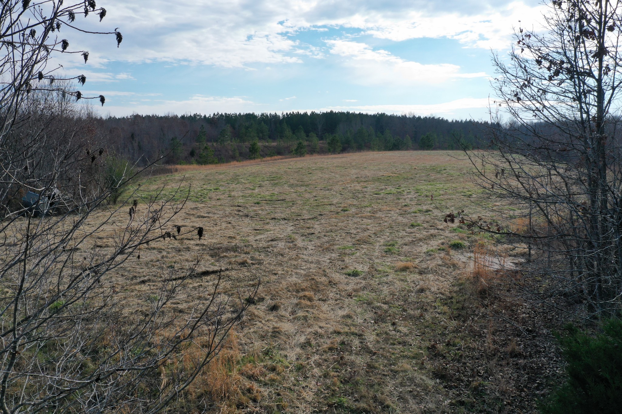 0 Simmons Branch Road Centerville, TN 37033 - Photo 20 of 34 Gallery Image 20