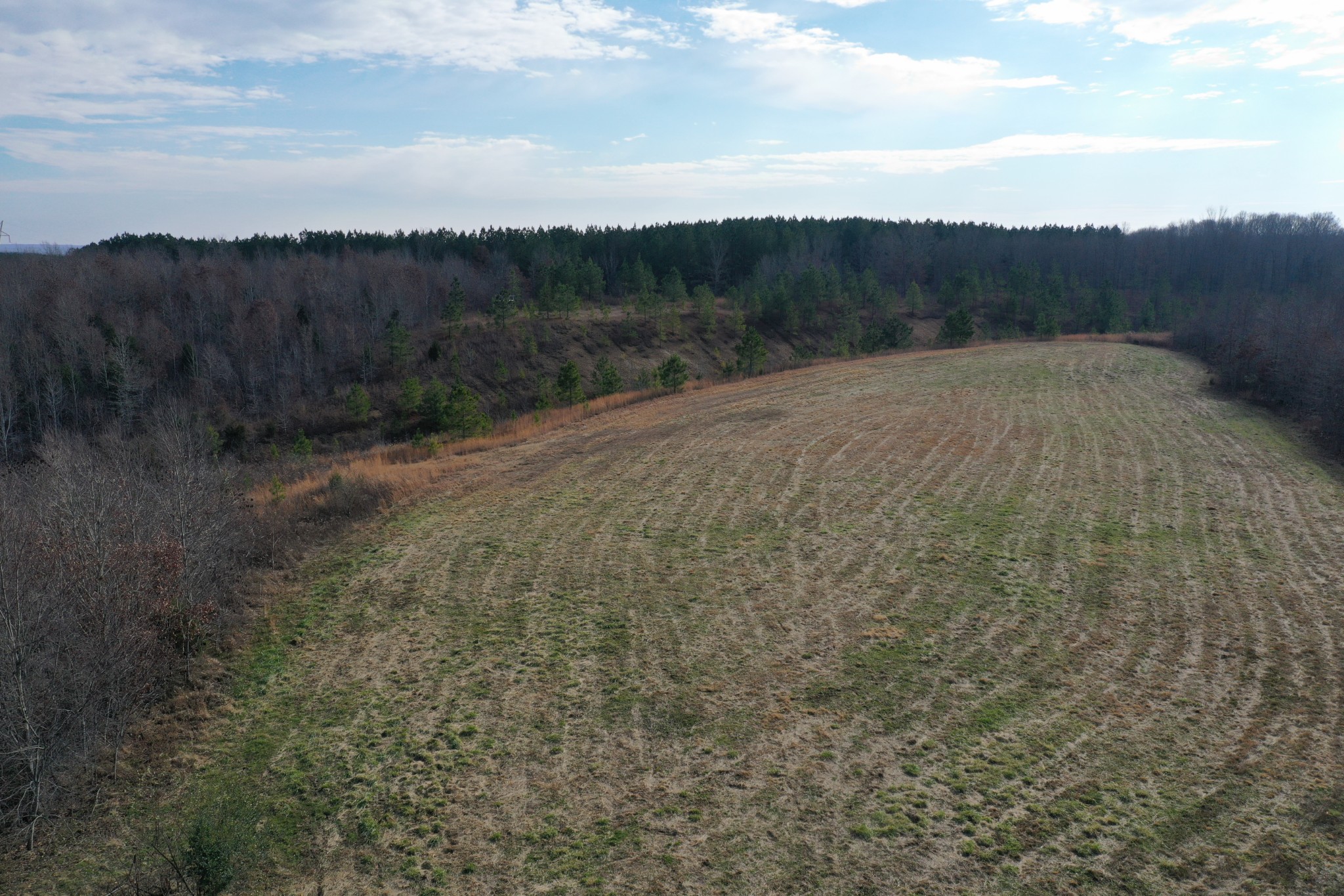 0 Simmons Branch Road Centerville, TN 37033 - Photo 21 of 34 Gallery Image 21