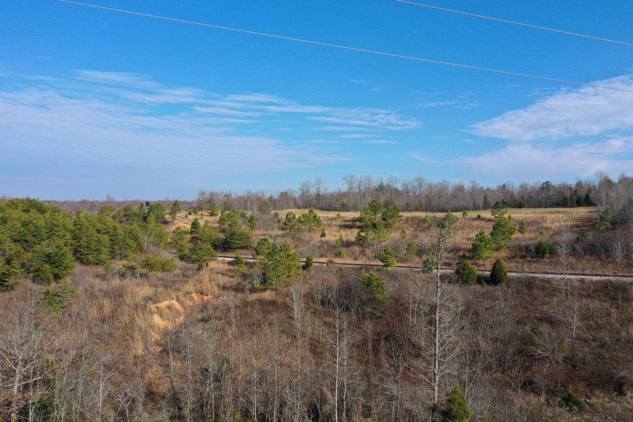0 Simmons Branch Road Centerville, TN 37033 - Photo 22 of 34 Gallery Image 22