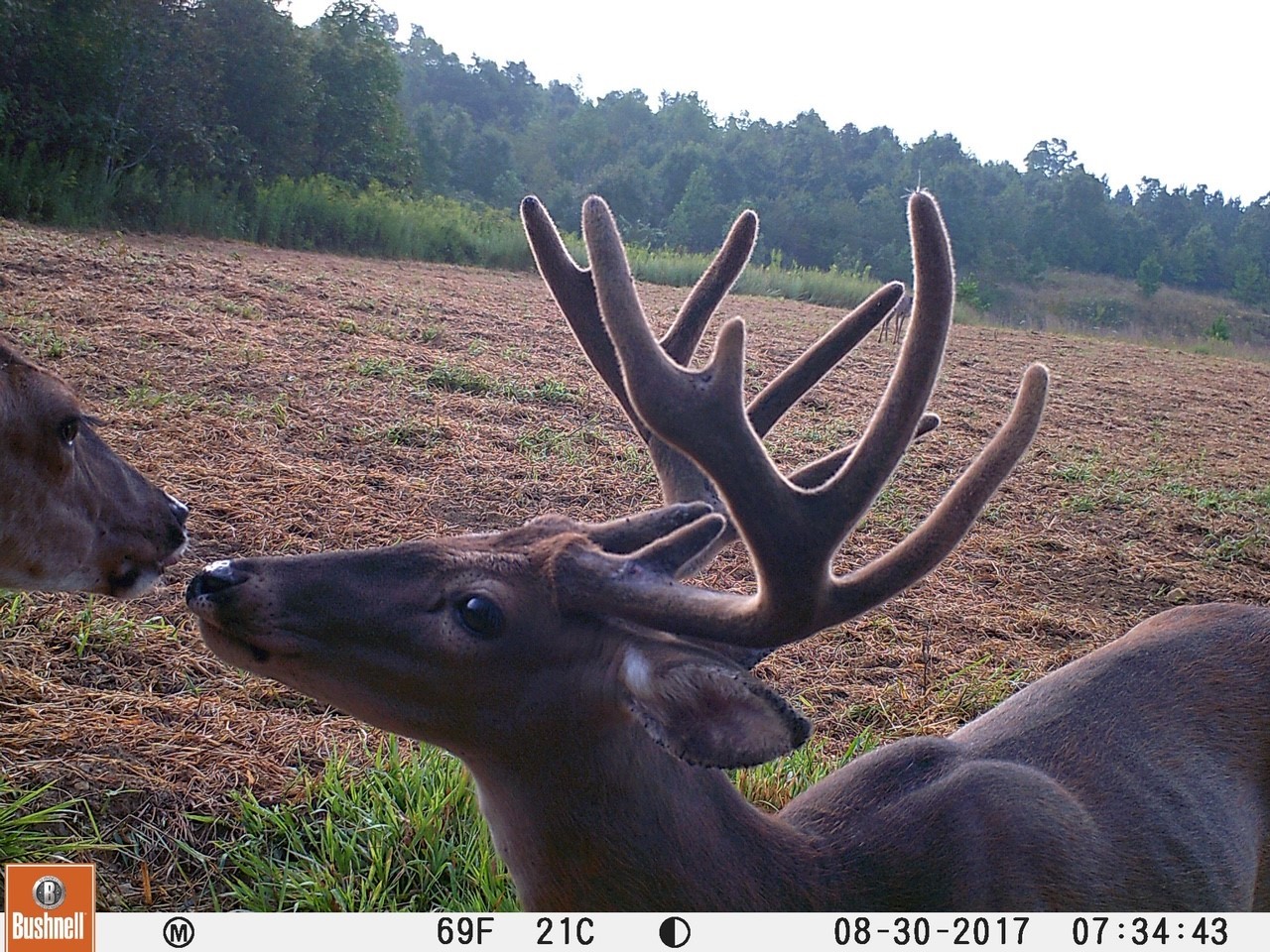 0 Simmons Branch Road Centerville, TN 37033 - Photo 23 of 34 Gallery Image 23