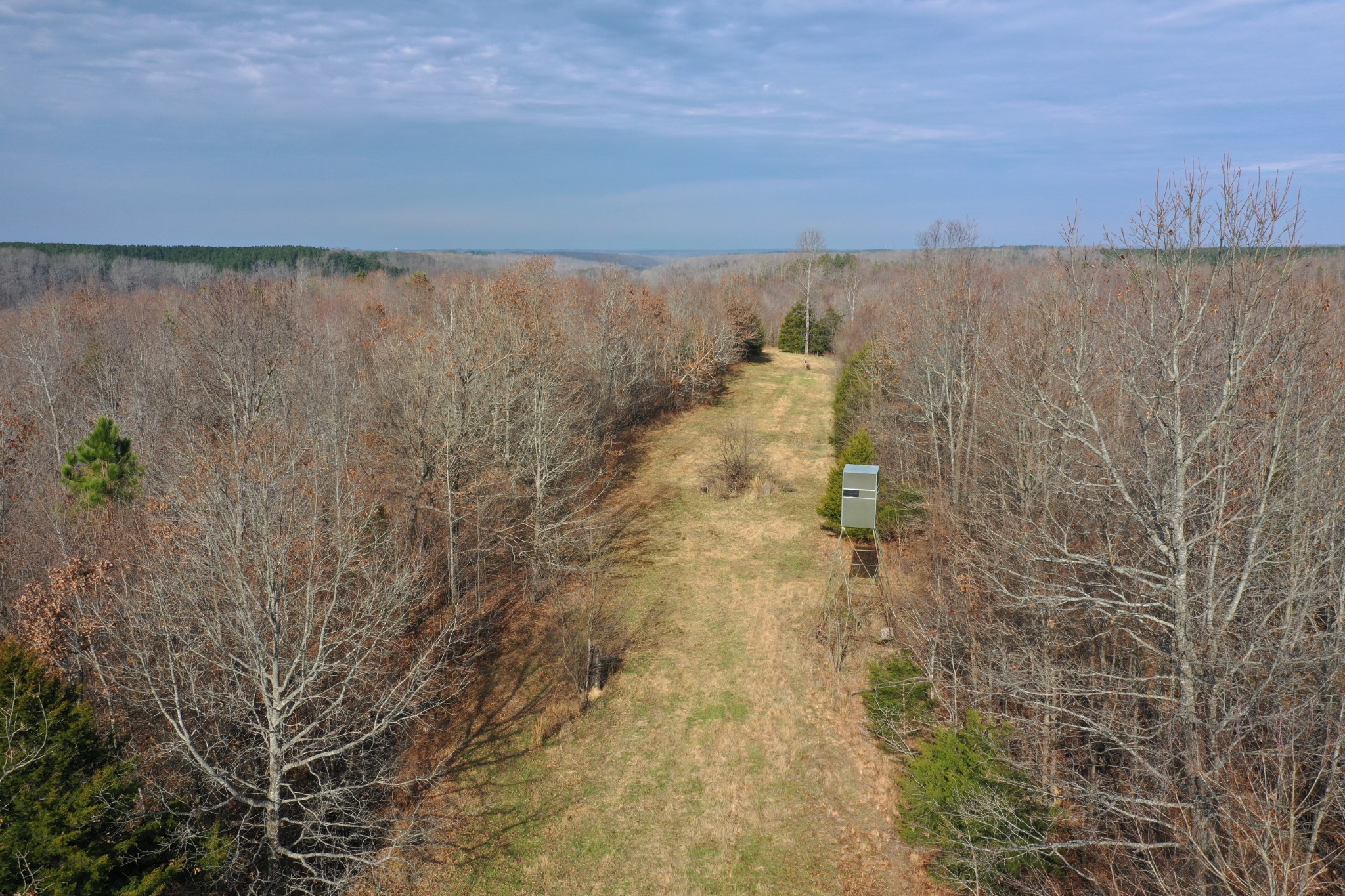 0 Simmons Branch Road Centerville, TN 37033 - Photo 30 of 34 Gallery Image 30