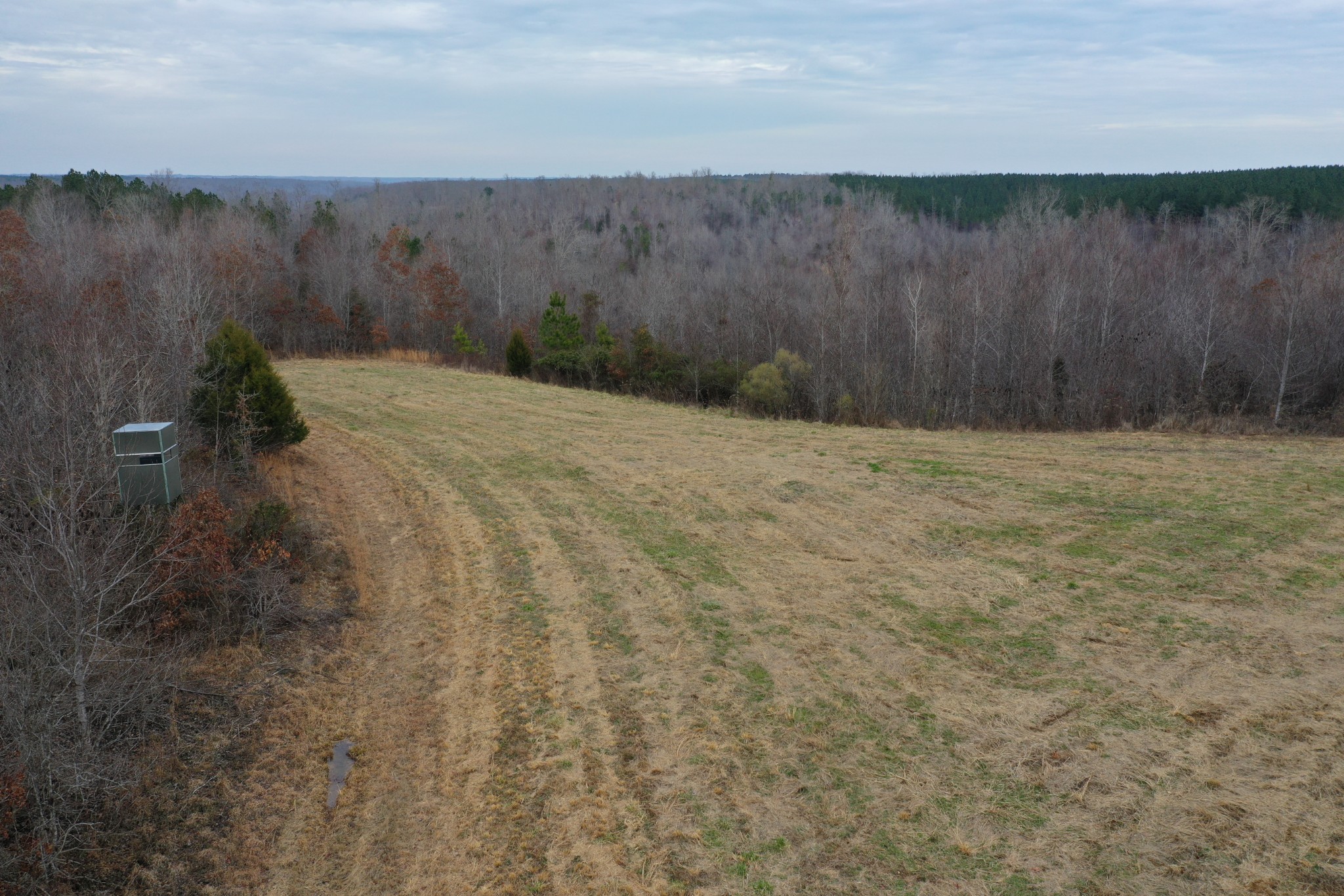 0 Simmons Branch Road Centerville, TN 37033 - Photo 32 of 34 Gallery Image 32