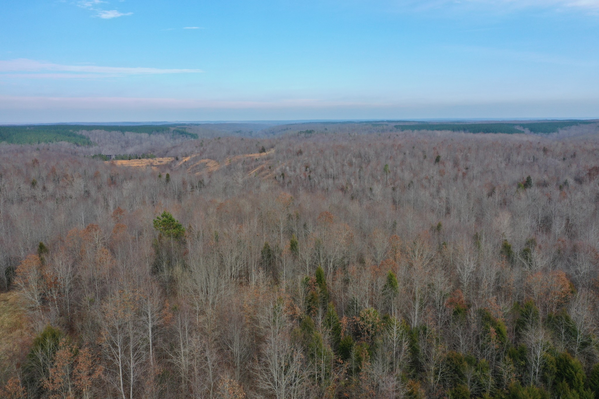 0 Simmons Branch Road Centerville, TN 37033 - Photo 5 of 34 Gallery Image 5
