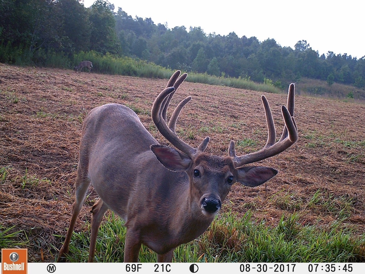 0 Simmons Branch Road Centerville, TN 37033 - Photo 6 of 34 Gallery Image 6