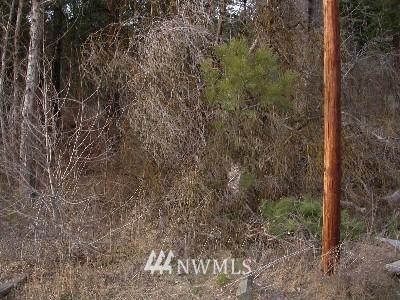 L4 C Red Bridge Road Cle Elum, WA 98922 - Photo 1 of 1 Gallery Image 1