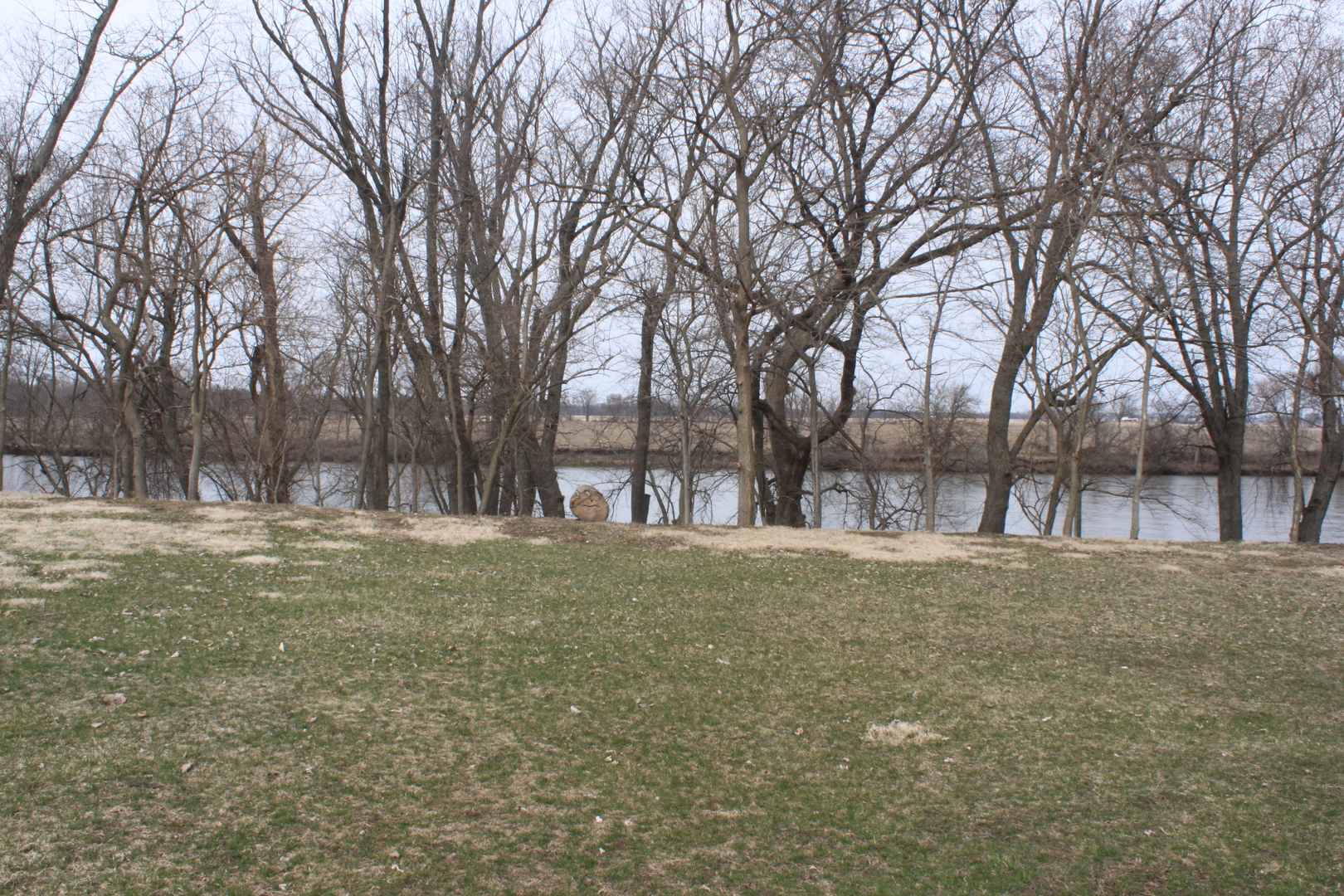 22862 Prophet Road Rock Falls, IL 61071 - Photo 18 of 24 a view of yard with trees