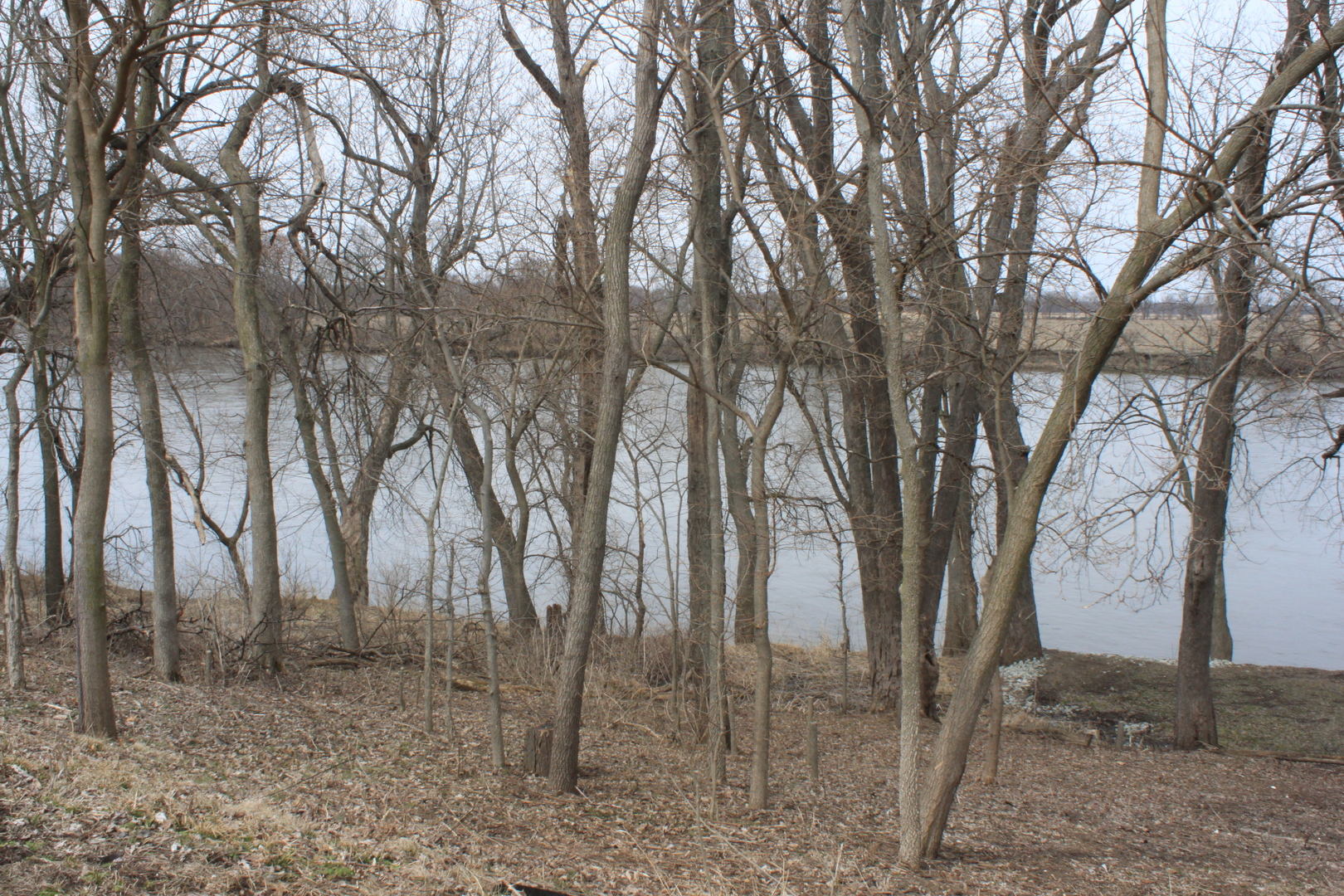22862 Prophet Road Rock Falls, IL 61071 - Photo 19 of 24 a view of a forest filled with trees