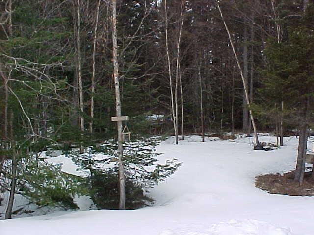 43 Babb Road Rangeley, ME 04970 - Photo 32 of 32 Photo