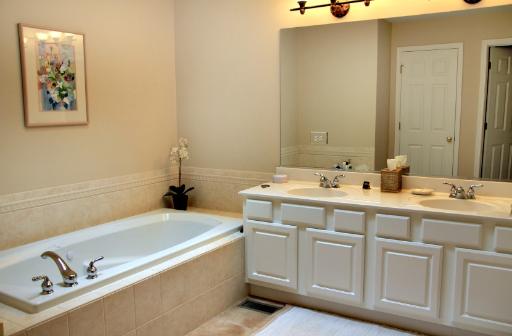 1871 Wagner Road Batavia, IL 60510 - Photo 12 of 16 a bathroom with a tub sink and mirror