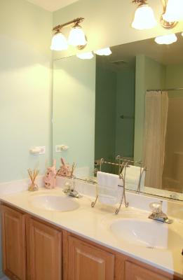 1871 Wagner Road Batavia, IL 60510 - Photo 14 of 16 a bathroom with a sink and a mirror