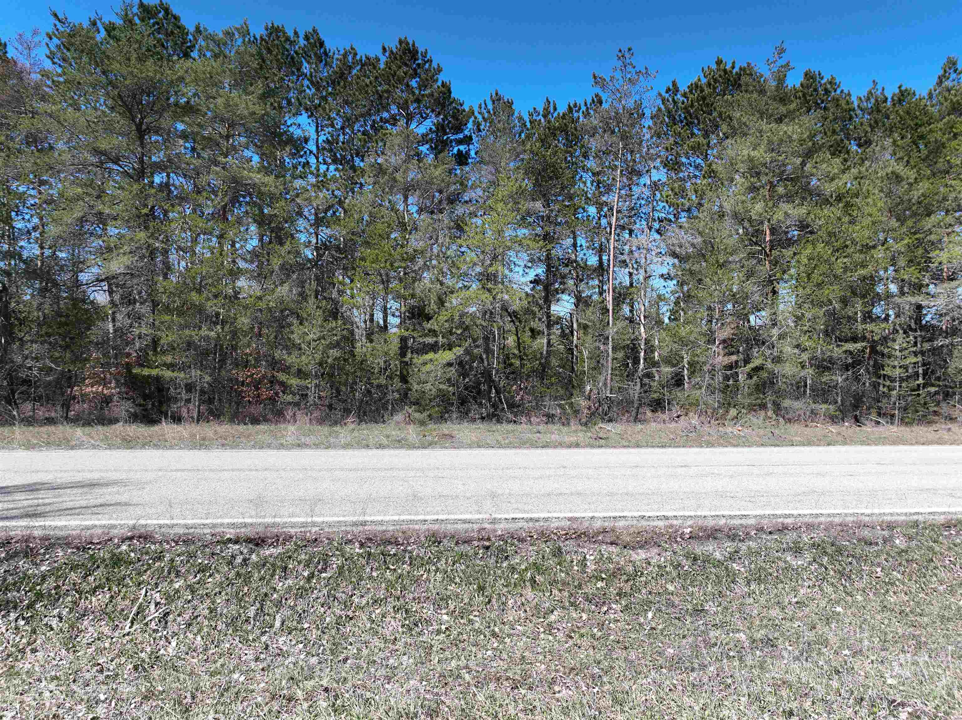 43 North 43 1/2 Road, Unit PARCEL A Manton, MI 49663 - Photo 13 of 49