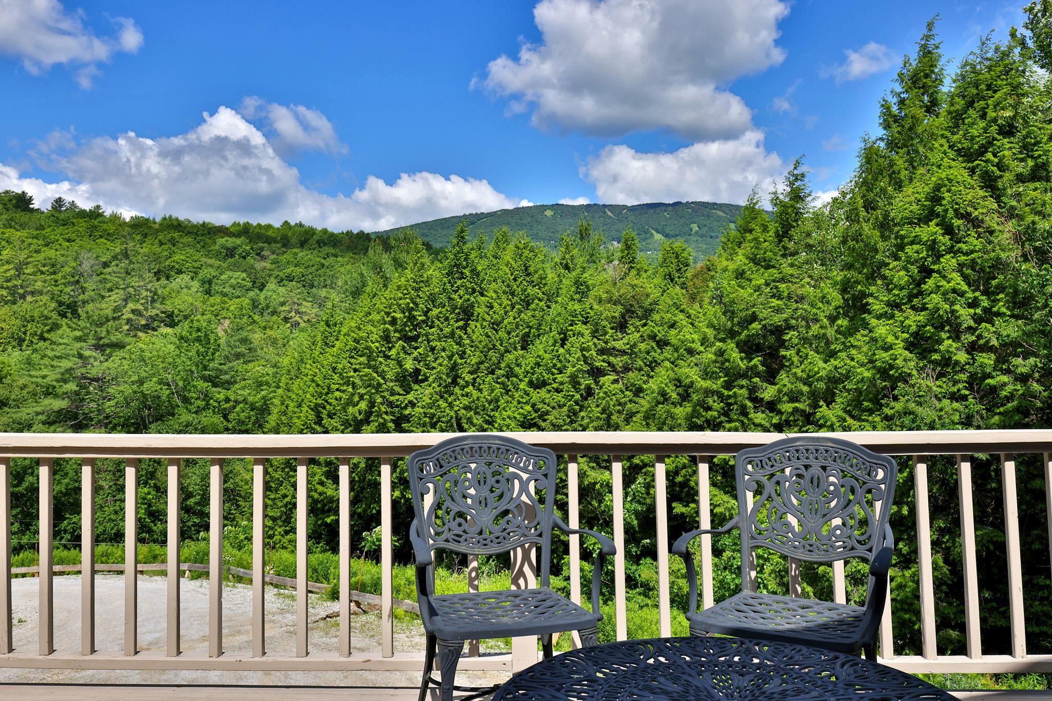 31 Plumley Ridge Ludlow, VT 05149 - Photo 24 of 28
