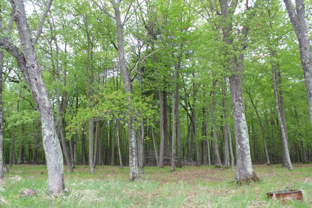 $300,000 | Lot 1 Lone Star Road, Siren, WI 54872