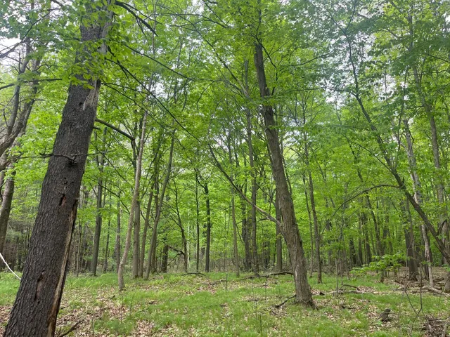 $300,000 | Lot 1 Lone Star Road, Siren, WI 54872