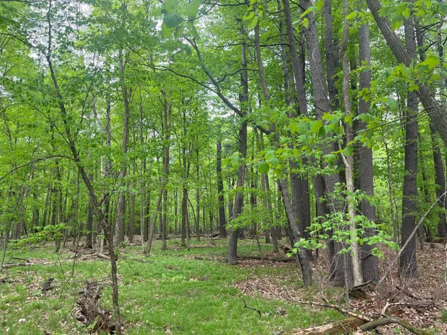 $300,000 | Lot 1 Lone Star Road, Siren, WI 54872