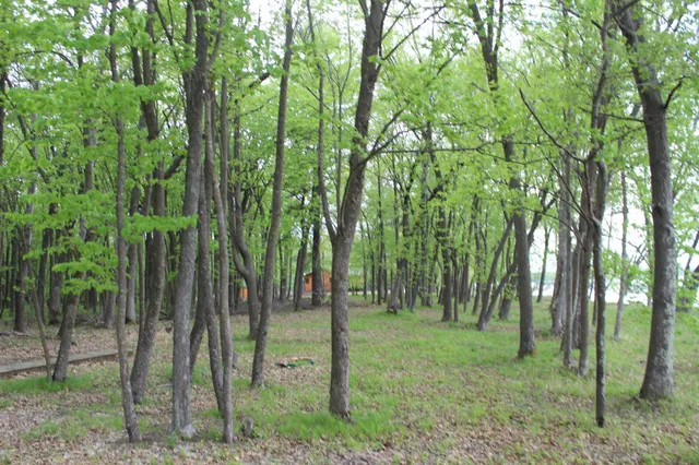 $300,000 | Lot 1 Lone Star Road, Siren, WI 54872