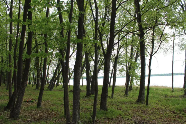 $300,000 | Lot 1 Lone Star Road, Siren, WI 54872