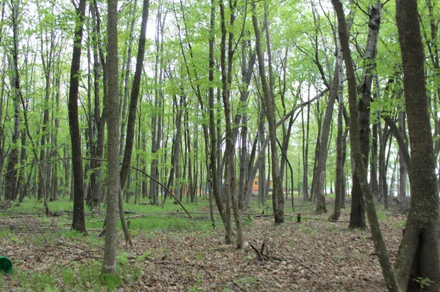 $300,000 | Lot 1 Lone Star Road, Siren, WI 54872