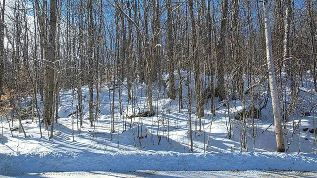 $39,900 | M111-l24&25 Tigola Trail, Stoddard, NH 03464