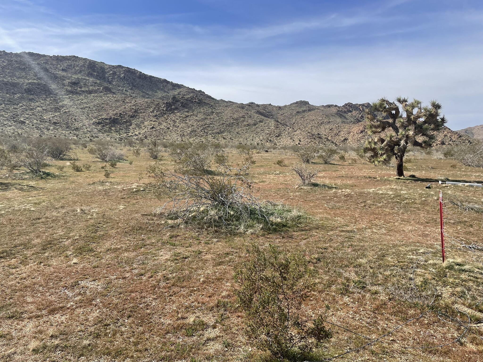 0 Chicago Road Lucerne Valley, CA 92356 - Photo 16 of 21 a view of mountain view with mountains in the background