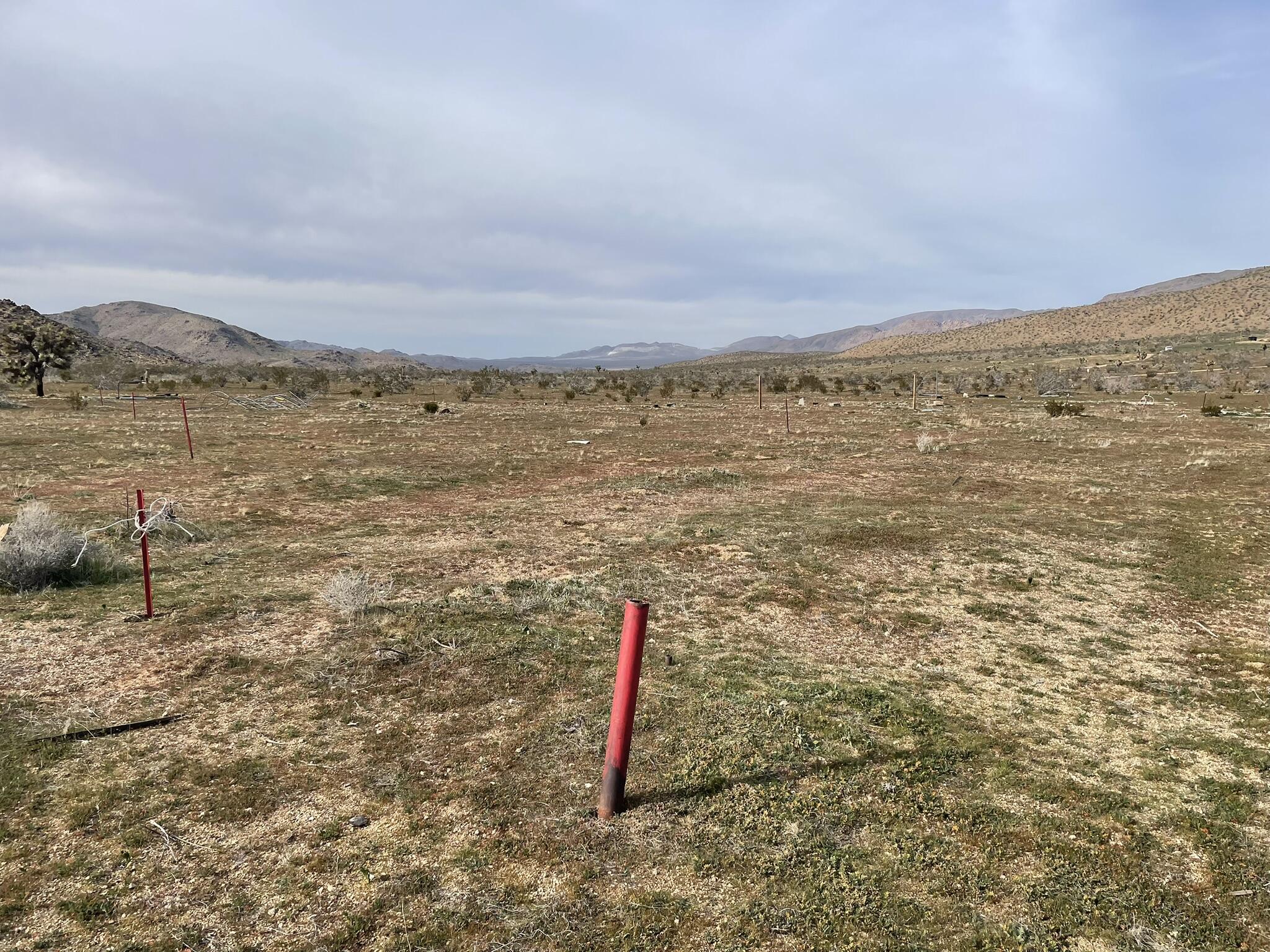 0 Chicago Road Lucerne Valley, CA 92356 - Photo 5 of 21 a view of a lake with a mountain