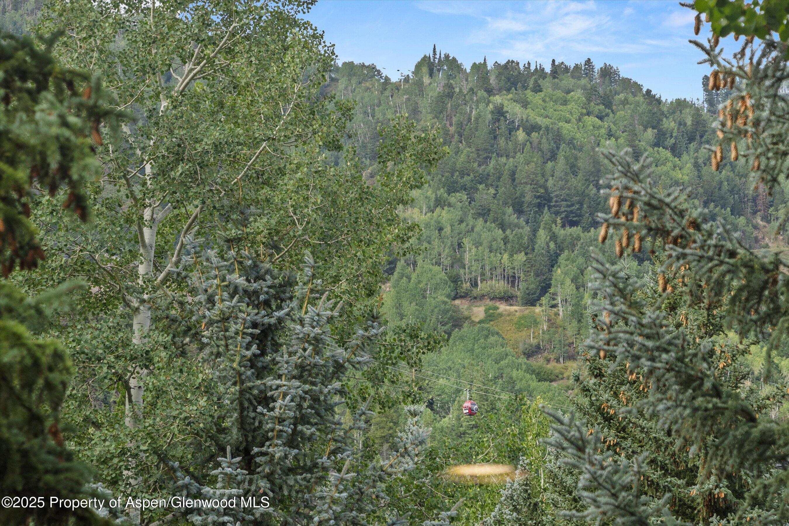 926 Waters Avenue, Unit 301 Aspen, CO 81611 - Photo 14 of 16 a view of a forest with a street
